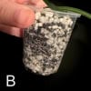 Hoya plant cutting in a clear plastic cup with soil and roots visible.