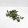 Fresh Hoya plant cutting with thick, waxy leaves for indoor gardening.