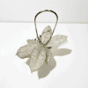 Hoya plant with variegated leaves in hanging pot, indoor plant care.