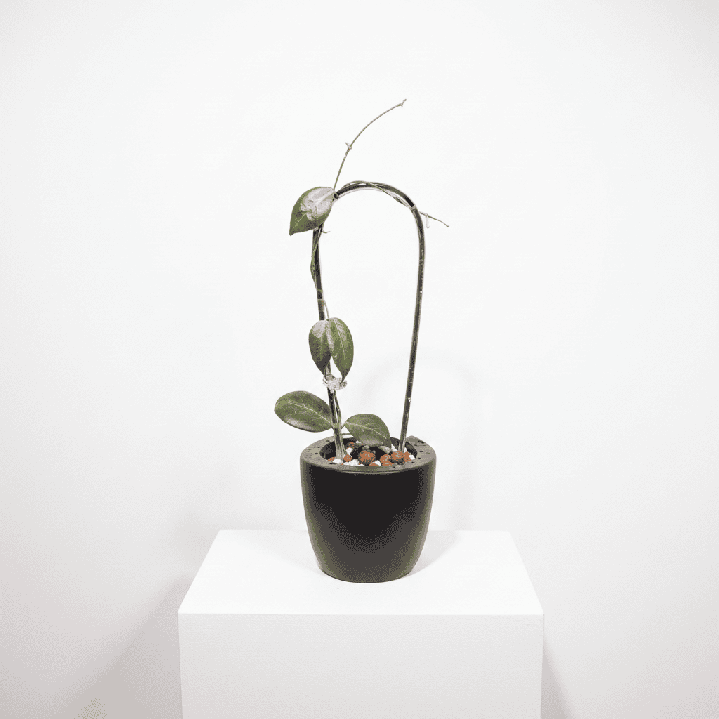 Unrooted Cutting